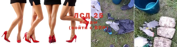 ГАЛЛЮЦИНОГЕННЫЕ ГРИБЫ Алзамай