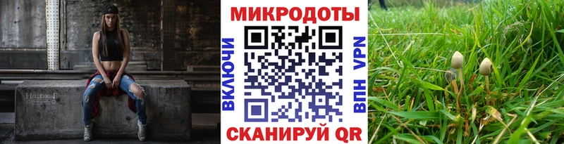 Псилоцибиновые грибы GOLDEN TEACHER  Дмитриев 